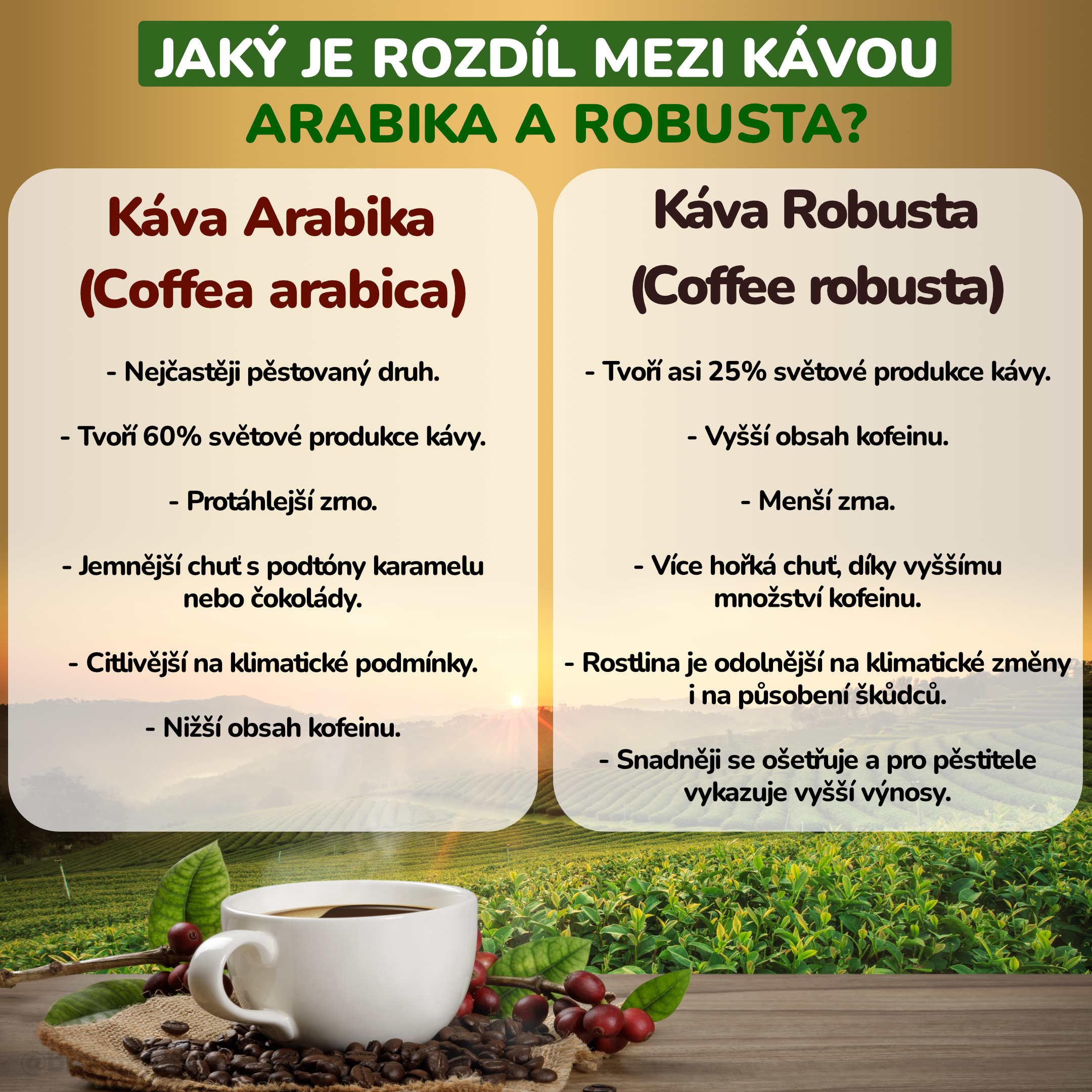 Jaký je rozdíl mezi kávou Arabika a Robusta__infografika2_cz